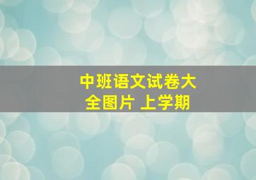 中班语文试卷大全图片 上学期